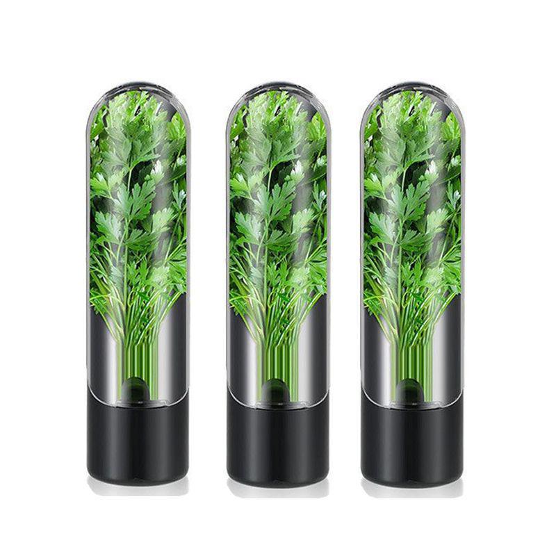 Herb Storage Box With Moisturizing Base And Ventilation Function Bpa-Free Plastic Suitable For Refrigerator Kitchen Gadgets