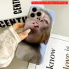 2DFlat Cute Monkey Sticking Tongue Out Phone Case All Inclusive Film Hard Phone Case, Compatible with iPhone 18 Pro Max 17 16 15 14 13 12 11