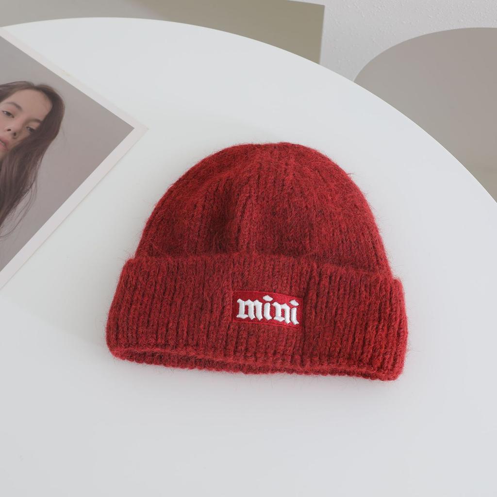 Simple Embroidered Knitted Hat for Women's Autumn and Winter New Collection  Warm Thickened  Cold Hat That Looks Good on The Face Small Ear Protection