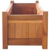 Garden Raised Beds 2 Pcs Acacia Wood 100 X 30 X 25 Cm
