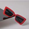 Retro Square Sunglasses Women Fashion Plastic Frame Vintage Sun Glasses Men Stylish Oversized Eyewear