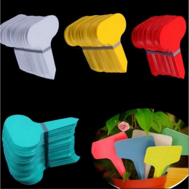 50Pcs Succulent Flower Horticulture Label, Thick Plastic Plant Label, Horticultural Classification Label Flower Plate