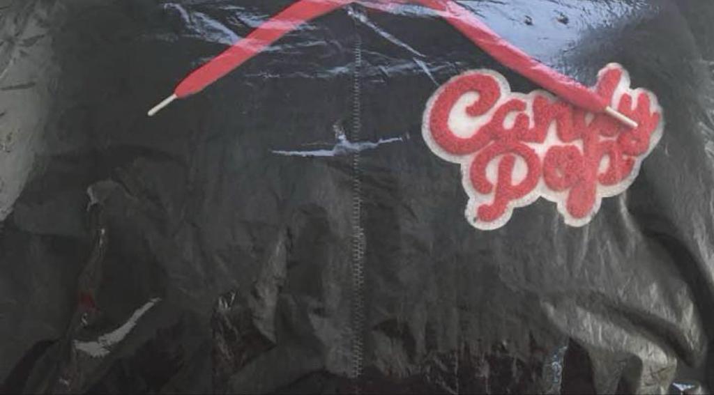 [USED] TWICE Candy pop live merchandise hoodie