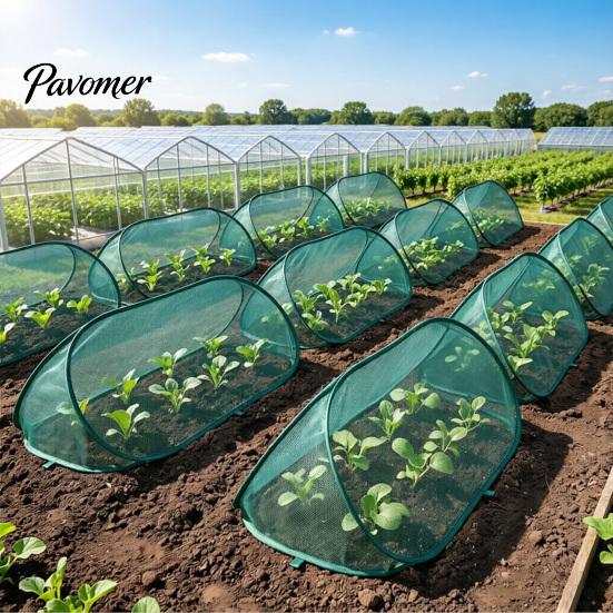 Plant Protection Tent Pop Up Cover Mesh Garden Protector with Ground Stakes Foldable Insect Barrier Netting for Vegetables Flowers Seedlings