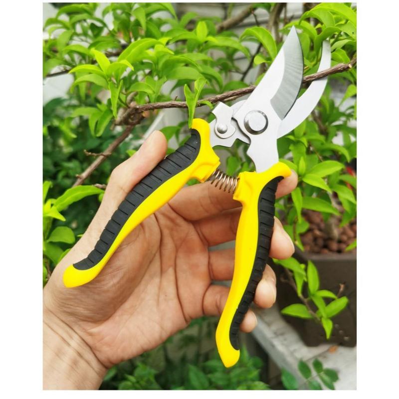 Gardening Shears Anti-Rust Coating Bird's Beak Shaped Branch Cutter Multi-functional Fruit Scissors for Home Garden Orchard Use