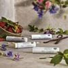 John Masters Organic Lippenbalsam Pfefferminze 4g 3er-Set