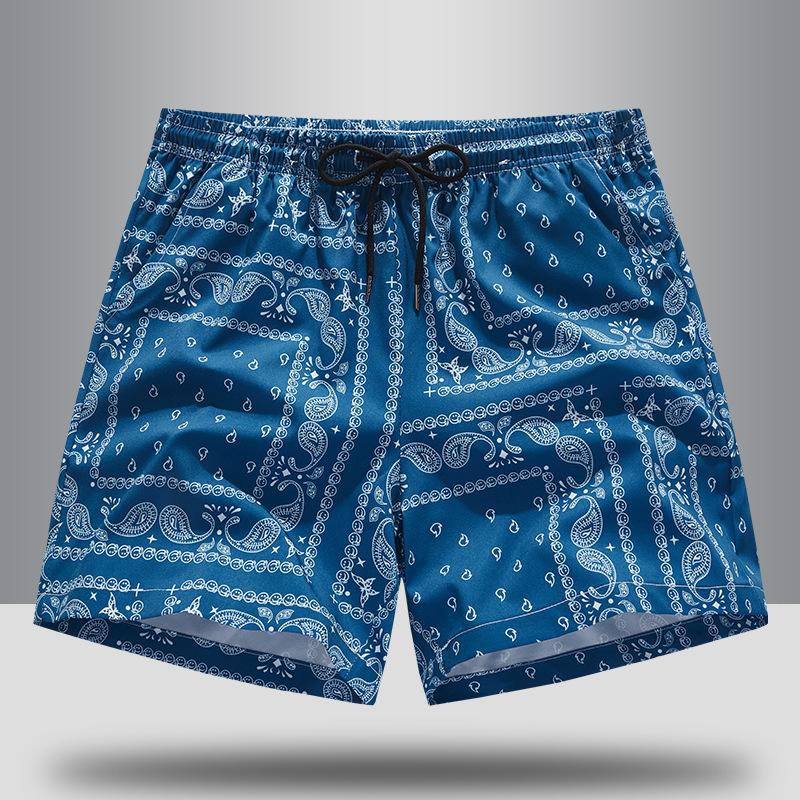 Vintage Graphic Beach Shorts for Men Summer Fashion 3D Printed Swim Trunks Loose Casual Thin Y2k Streetwear Hawaiian Short Pants