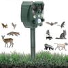 Jardim e horta – Repelentes contra animais