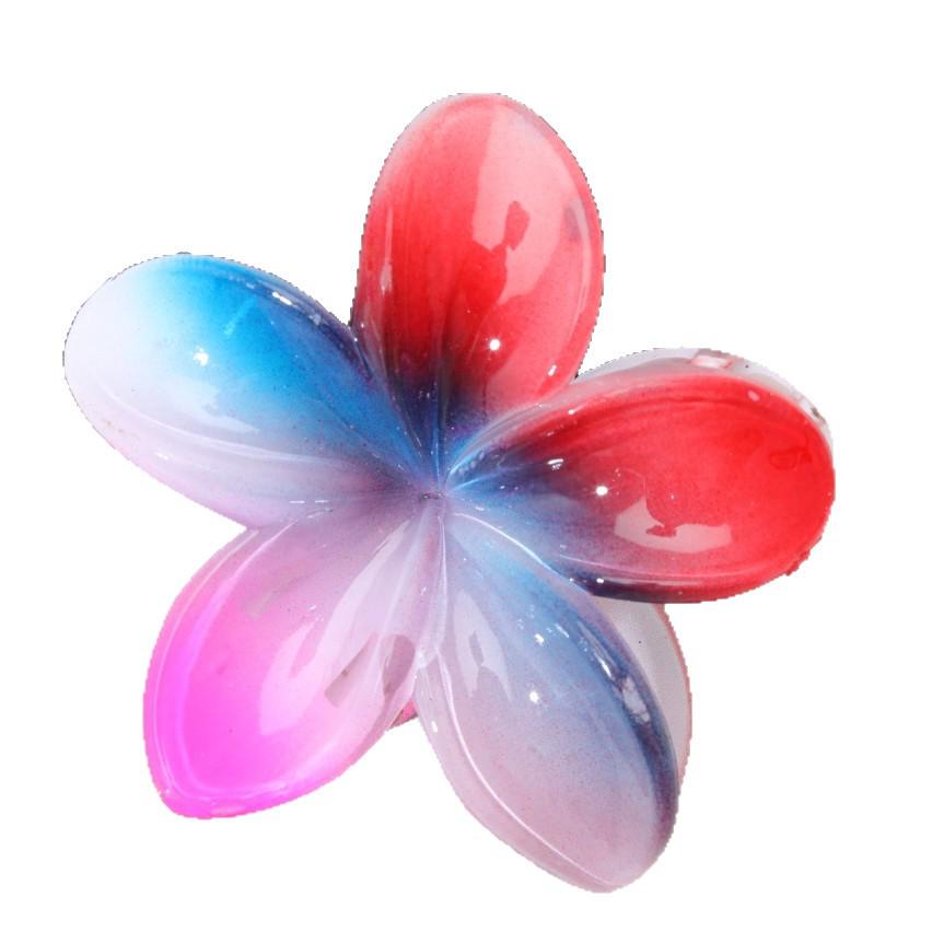 Gradient Plumeria Bauhinia Hair Clip - Simple Style Claw Clip for Women