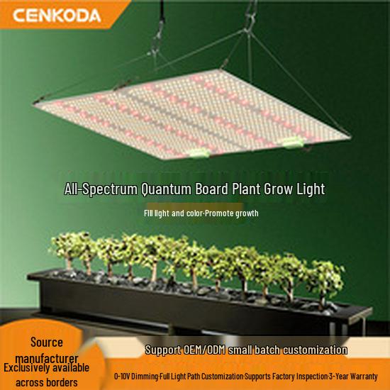 T12 Full Spectrum LED Grow Light for Indoor Succulents