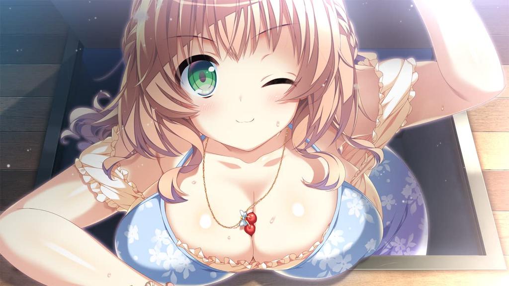 Torino Line Completely Limited Edition Acrylic Ornament Included -Switch [Bonus]