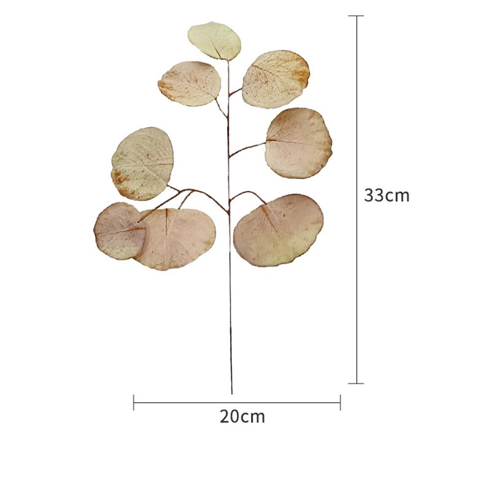 Simulation  Eucalyptus Colored Leaves Photo Shoot Photography Background Props Tabletop Home Decor