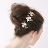 Wedding Bridal Bridesmaid Pearl Crystal Leaf Headpiece Hair Pin Hairpin Pearl Headwear Hairpin Ornaments Fashion Sexy Accessory