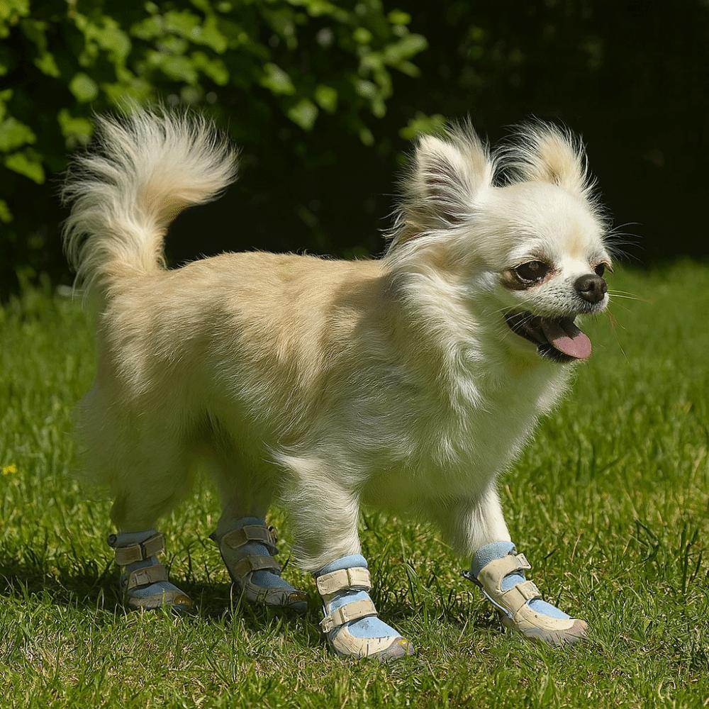 4pcs/set Warm Dog Cotton Shoes Breathable Soft Bottom Non-Slip Dog Shoes Waterproof Anti-dirt Pet Sneakers Outdoor Use