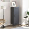 Highboard Anthracite 36 X 39 X 113 Cm Steel