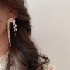 Full Rhinestone Geometric Long Tassel Earrings Women’s Personality Fashion Earrings Wedding Jewelry Birthday Gifts