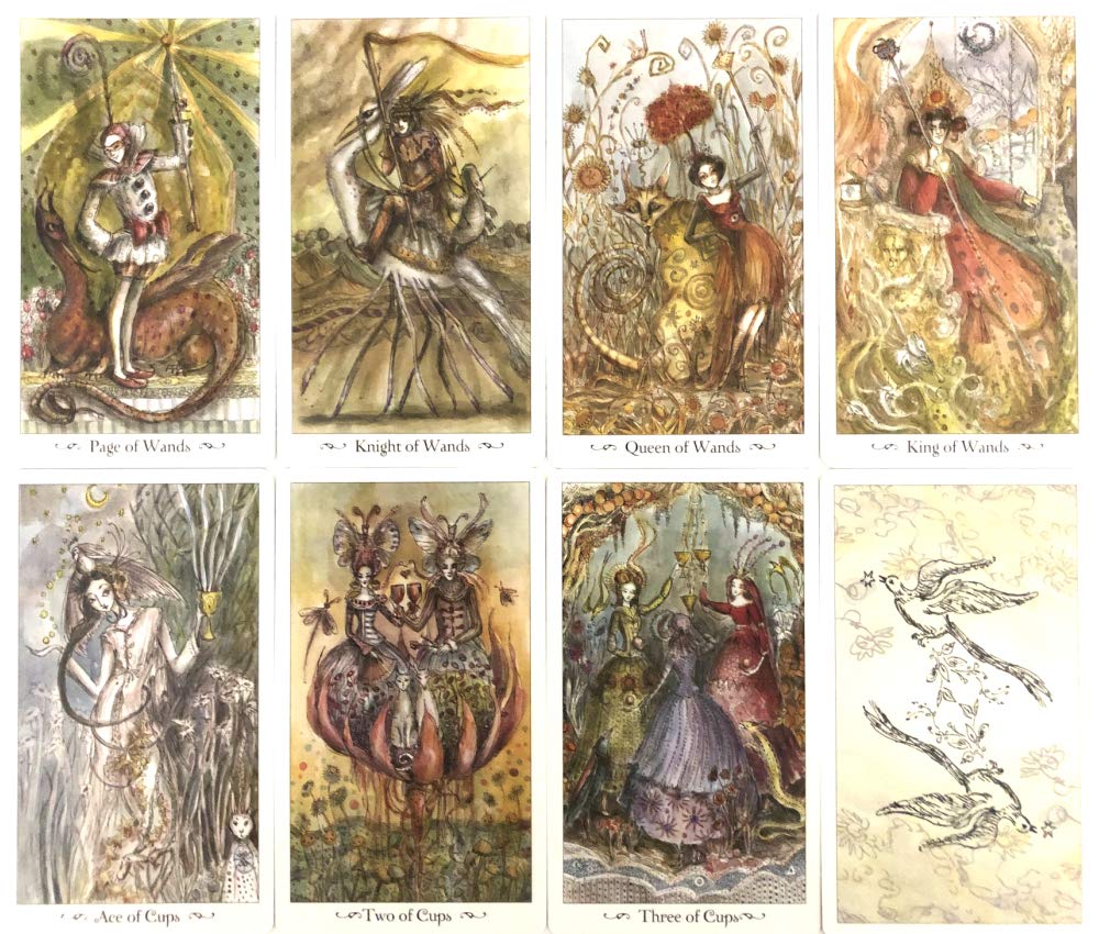 78 Tarot Waite Tarot Fortune Telling with Japanese Instruction Manual Cards, Edition, [Paulina Tarot] [Genuine]