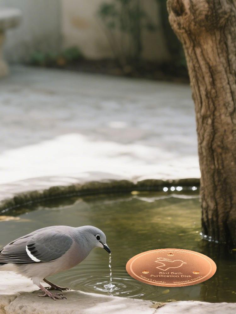 Copper Disk for Bird Bath Bird Bath Cleaner Feeder Accessories Triple-Point Support Purifier Disc for Water Bowl All-Season