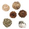Bird Sepak Takraw Toy Safe Healthy Decompression Durable Chewing Toy Sepak Takraw for ParrotsBall Suit