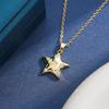 European & American Star Pendant Long Necklace – Luxurious Design for Women