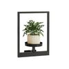 Black Picture Frame Wall Plant Holder Stylish Display Stands  Outdoor