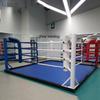 Baisheli Floor Boxing & Fighting Ring