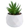 Artificial Succulent Imitation Potted Plants Decorative Flower Pot Desktop Decoration Elegant Design Home Decoration