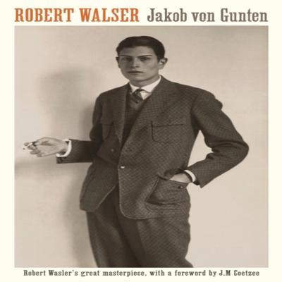 Jakob Von Gunten by Robert Walser Paperback Book 9781788164504