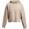 Under Armour Womens/Ladies Rival Terry Performance Oversized Hoodie
