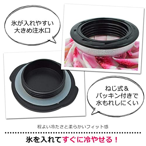 Skater Ice Bag M Ice Bag Hello Kitty Diameter 21cm Icb2