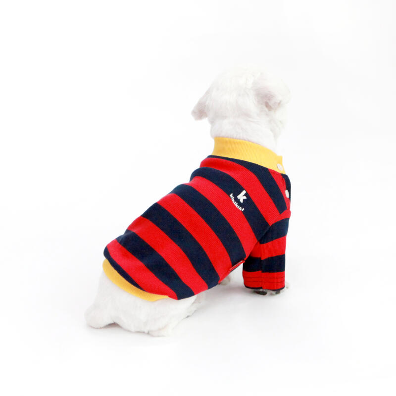 STRIPE NECK BUTTON TSHIRT-2COLOR(Short Sleeve T-Shirt)