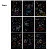 Pittura da graffiare a cartoni animati Giocattoli da disegno per bambini Arte Creatività Fai da te Materiali per graffiti Colore abbagliante Libro di pittura graffiata TMZ