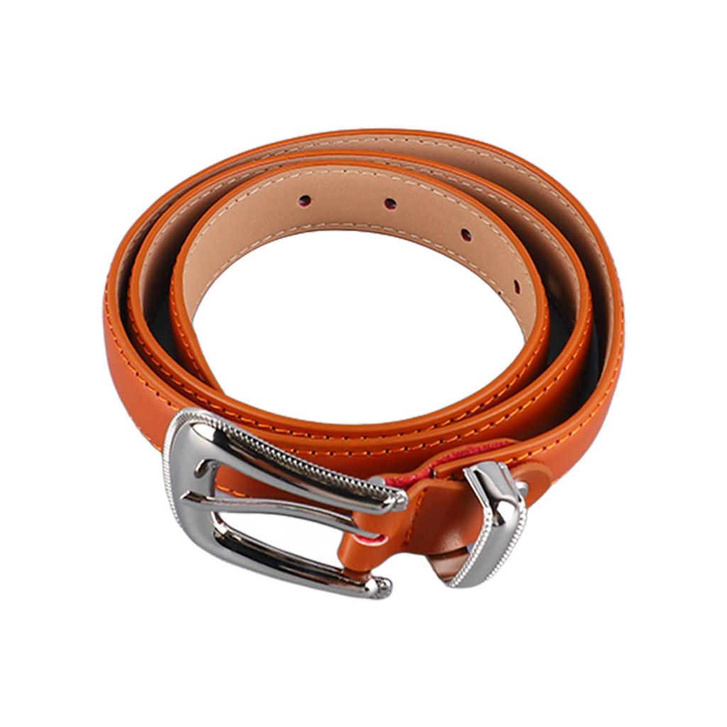 Waist Belt Ladies Fashion Leather Belt Alloy Buckle Waist Belt Clothing Accessories
