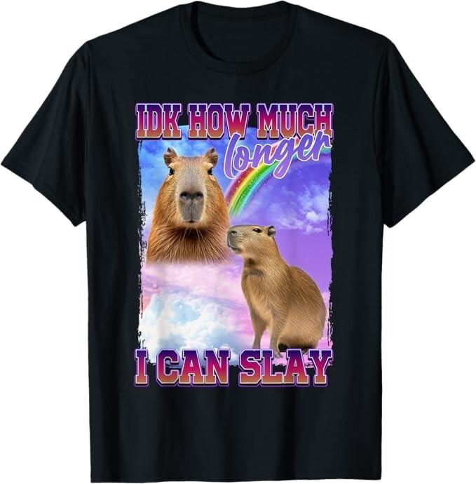 Idk How Much Longer I Can Slay Capybara T-Shirt