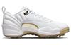Air Jordan 12 Low Golf 'Masters' DM0106-117