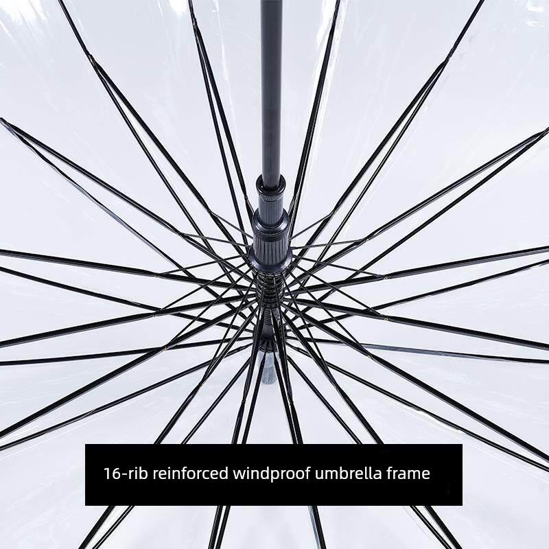 Transparent Long-Handle Umbrella with 16 Reinforced Ribs, Fresh Style, 8-Rib Transparent Umbrella, Fresh Sun Umbrella, Unisex Long-Handle