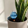 Self Watering Bulb, 500ml Transparent Automatic Plant Irrigation Ball, Holiday Plant Watering Bulb with Lid for Indoor Houseplants