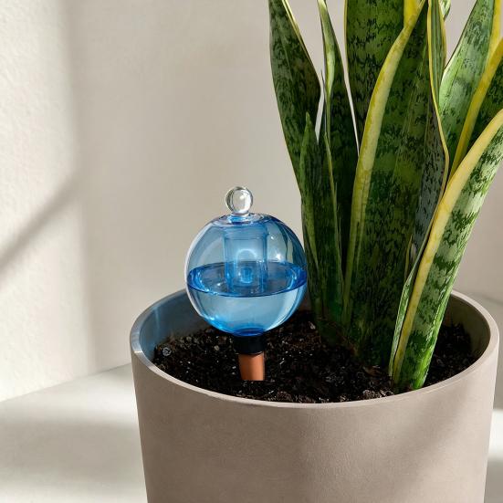 Self Watering Bulb, 500ml Transparent Automatic Plant Irrigation Ball, Holiday Plant Watering Bulb with Lid for Indoor Houseplants