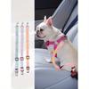 1pc Pet Car Safety Leash, With Elastic Shock Absorbing, Rainbow Style, Suitable For Pets Riding In Car