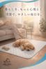 Supervision Featured In Croissant Washable Pet Dog Toilet Waterproof Pee Antibacterial Size 2 Sheets X 33 [Veterinarian × Magazine] Sheets, Pads,