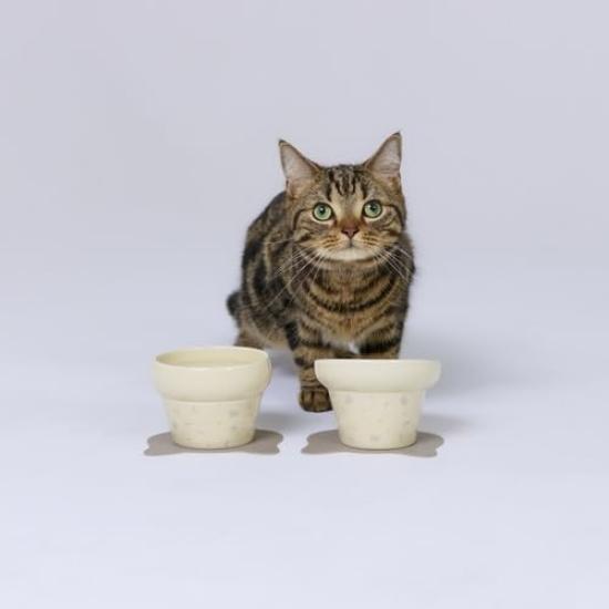 HARIO Nyan Pretall Cat Bowl, Tall and Easy To Eat (Beige)
