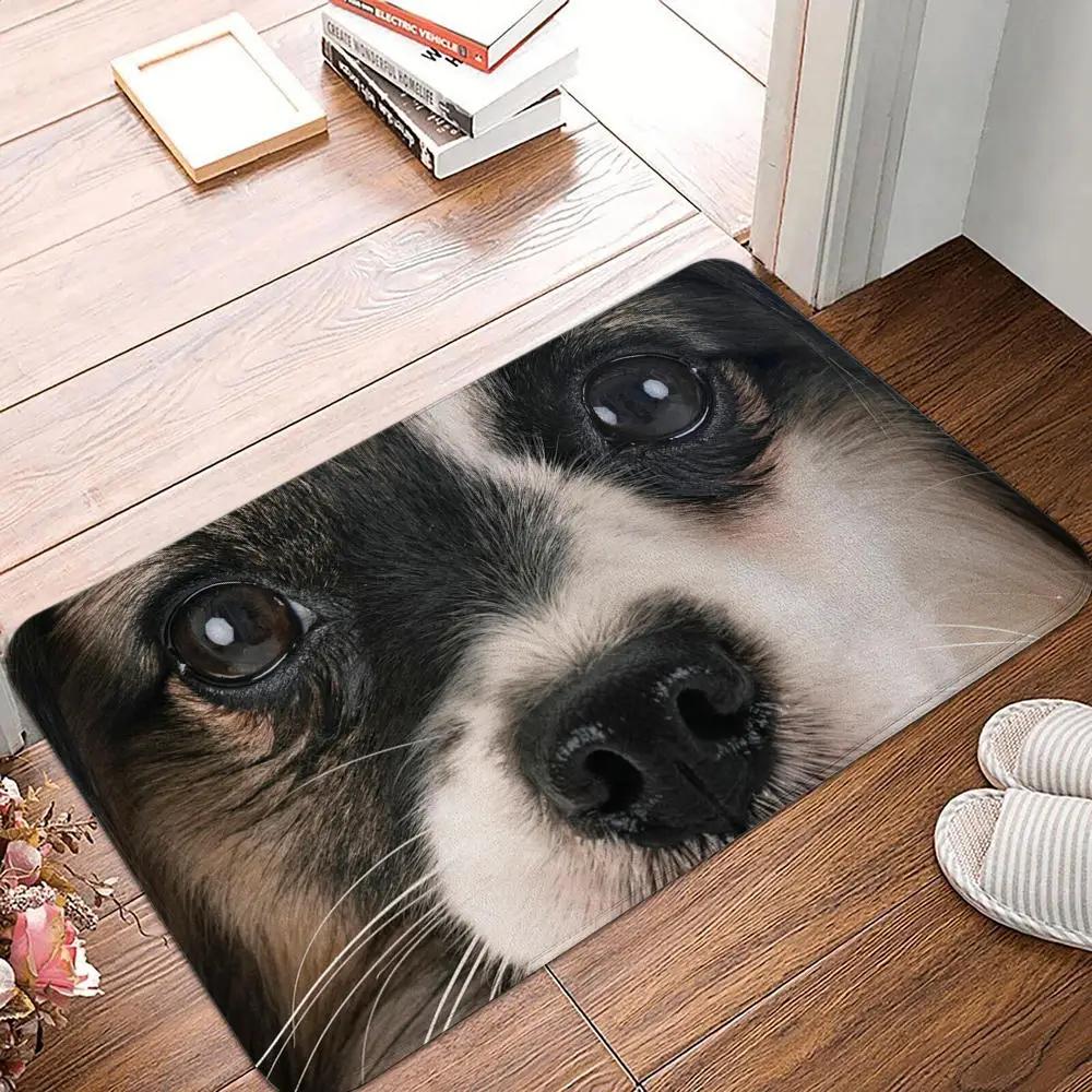 Bedroom Balcony Non-Slip Rug Entrance Door Mat Floor Dog Funny Pug Schnauzer Kitchen Living Room