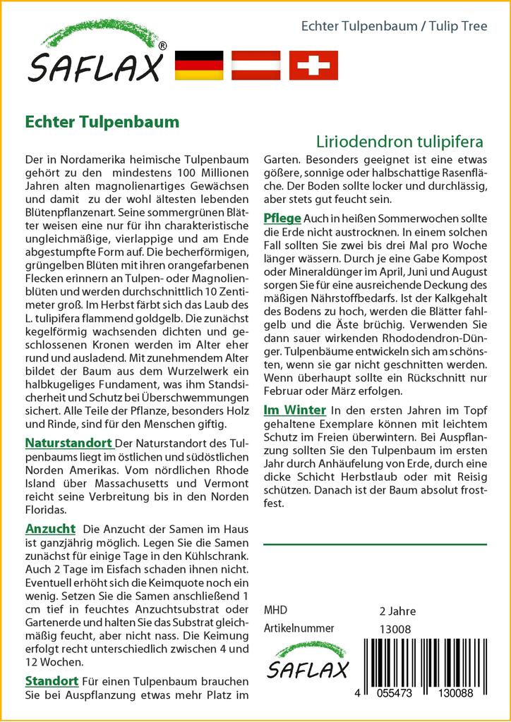 SAFLAX Tulip Tree - 20 Seeds - Liriodendron Tulipifera