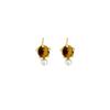 Exquisite Tiger-eye Stone Black Agate Pearl Earrings for Women Fashion New High-end Earrings