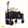 Beach Travel Stroller, Transport Trailer, 100kg, Foldable, Holiday