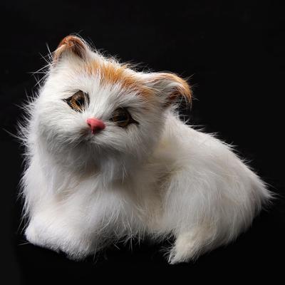 Cute Realistic Small Sitting Cat with Frame Real Fur Furry Animal