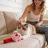 Get  Catnip Rattle Toy - Interactive Cats Chew Toy With Bell For Self-Play & Boredom Relief