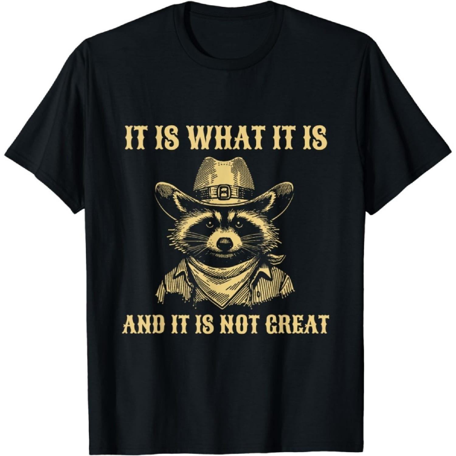 It is What It is and Its Not Great Funny Raccoon T-Shirt S