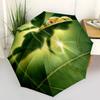 Disney Tinkerbell, Tinker Bell Automatic Open/Close Fashion umbrella - Cute Umbrella with Cute Design, Portable 3-Fold Compact Umbrella for