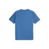 PUMA Manchester City Home Jersey Collection Soccer Jersey Men's Blue 772844-10